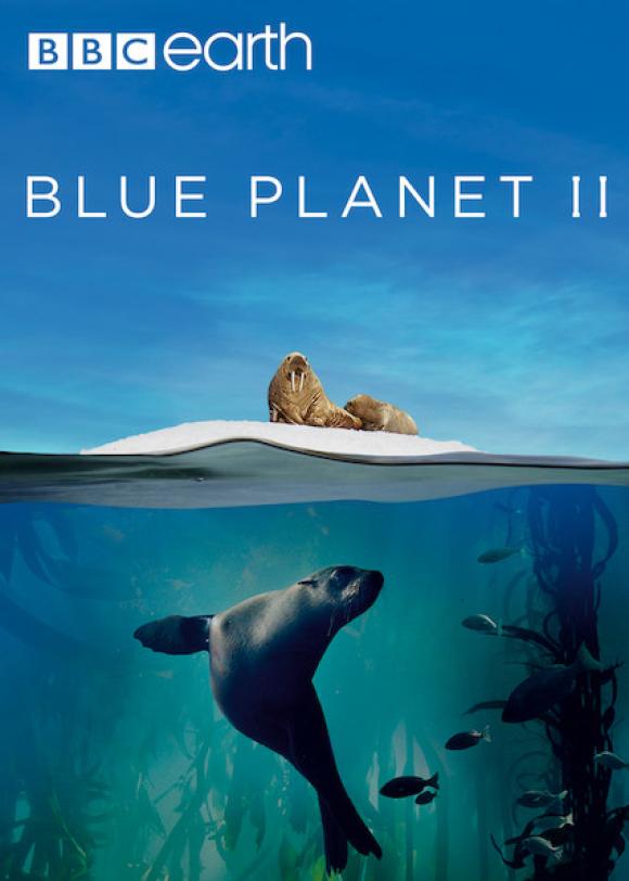 دانلود سریال Blue Planet II با زیرنویس فارسی چسبیده